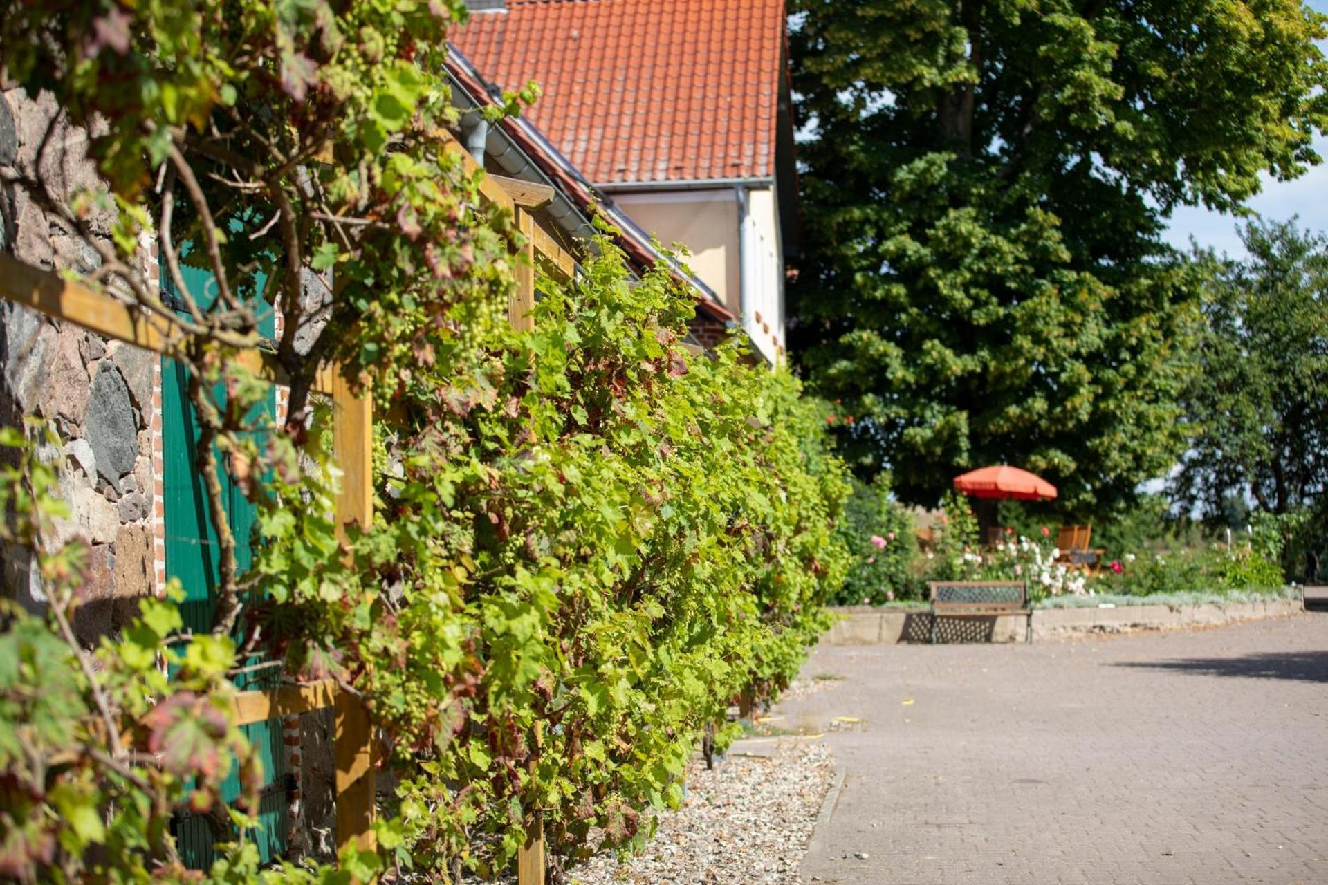 Landurlaub Auf Dem Mellenhof Apartman Funkenhagen Kültér fotó